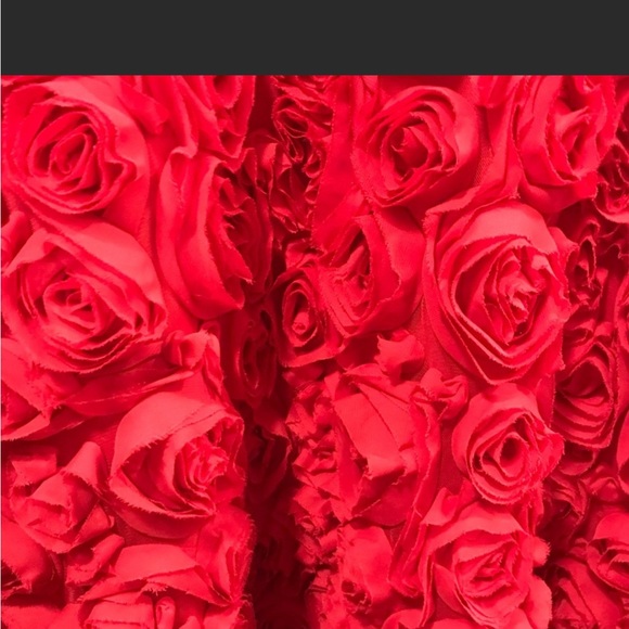 Red Rose Gown - Picture 4 of 4